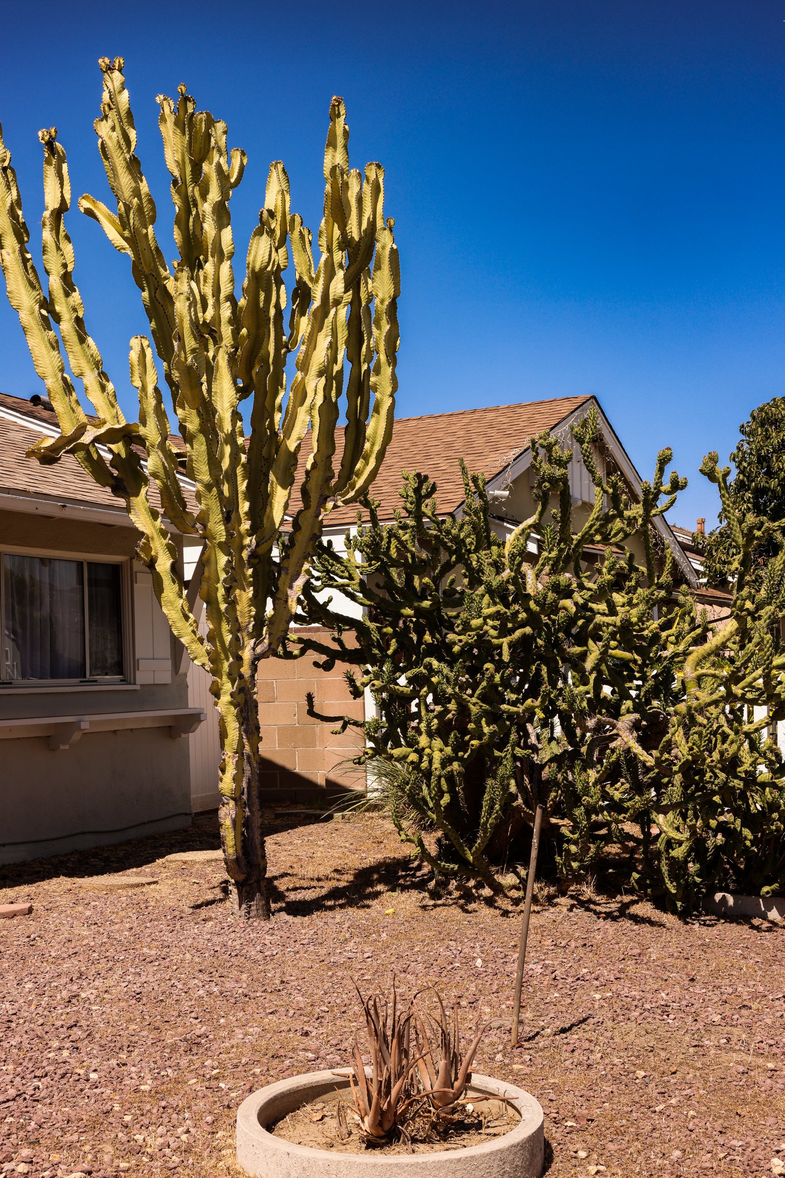 Start Your Journey Today